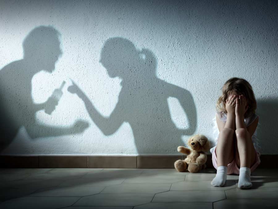 domestic violence check for jobs